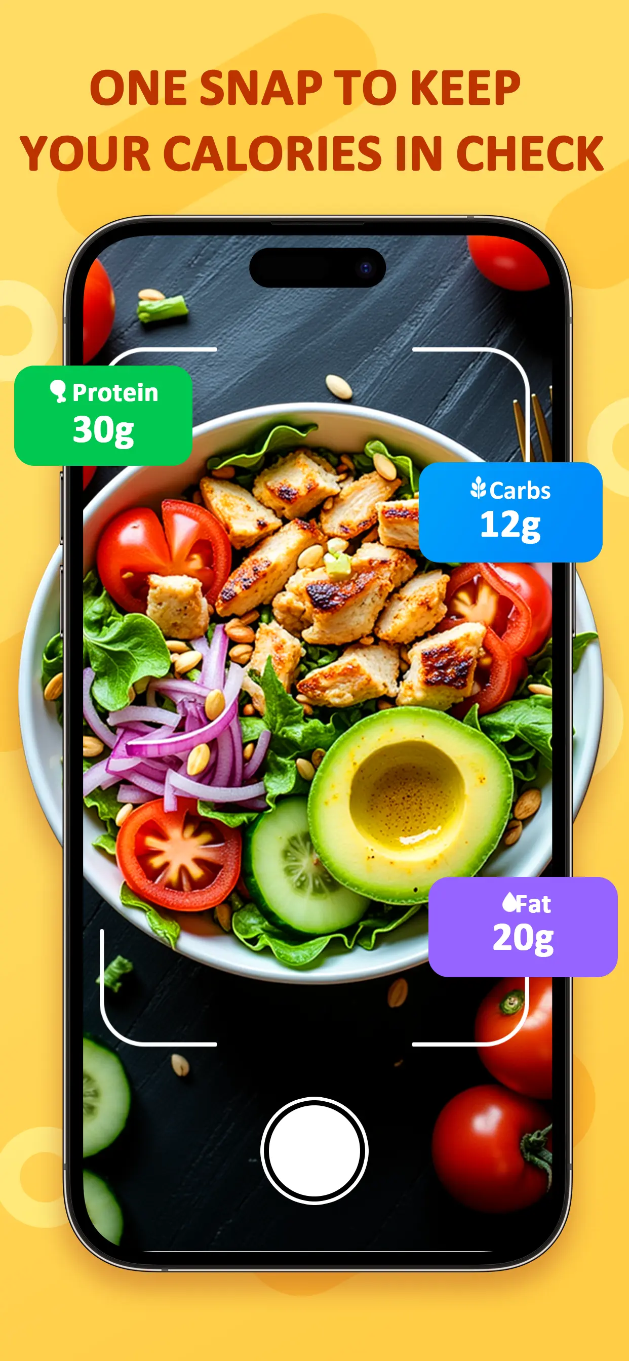 Food AI meal photo ready to analyze